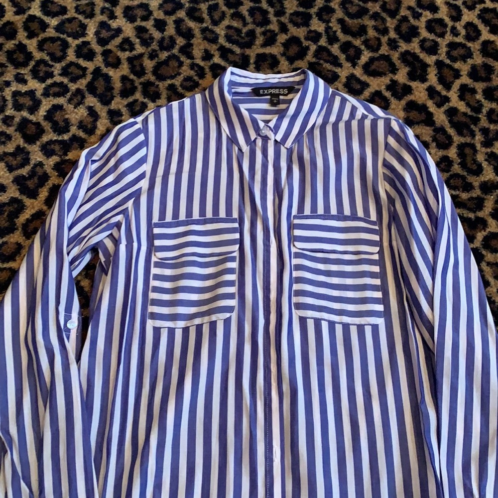 Express button down dress shirt blue/white stripe
